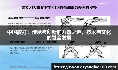 中国散打：传承与创新的力量之道，技术与文化的融合发展