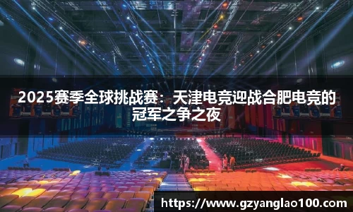 2025赛季全球挑战赛：天津电竞迎战合肥电竞的冠军之争之夜