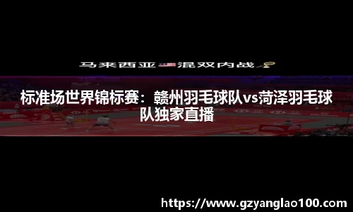 标准场世界锦标赛：赣州羽毛球队vs菏泽羽毛球队独家直播