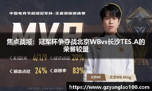 焦点战报：冠军杯争夺战北京WBvs长沙TES.A的荣誉较量